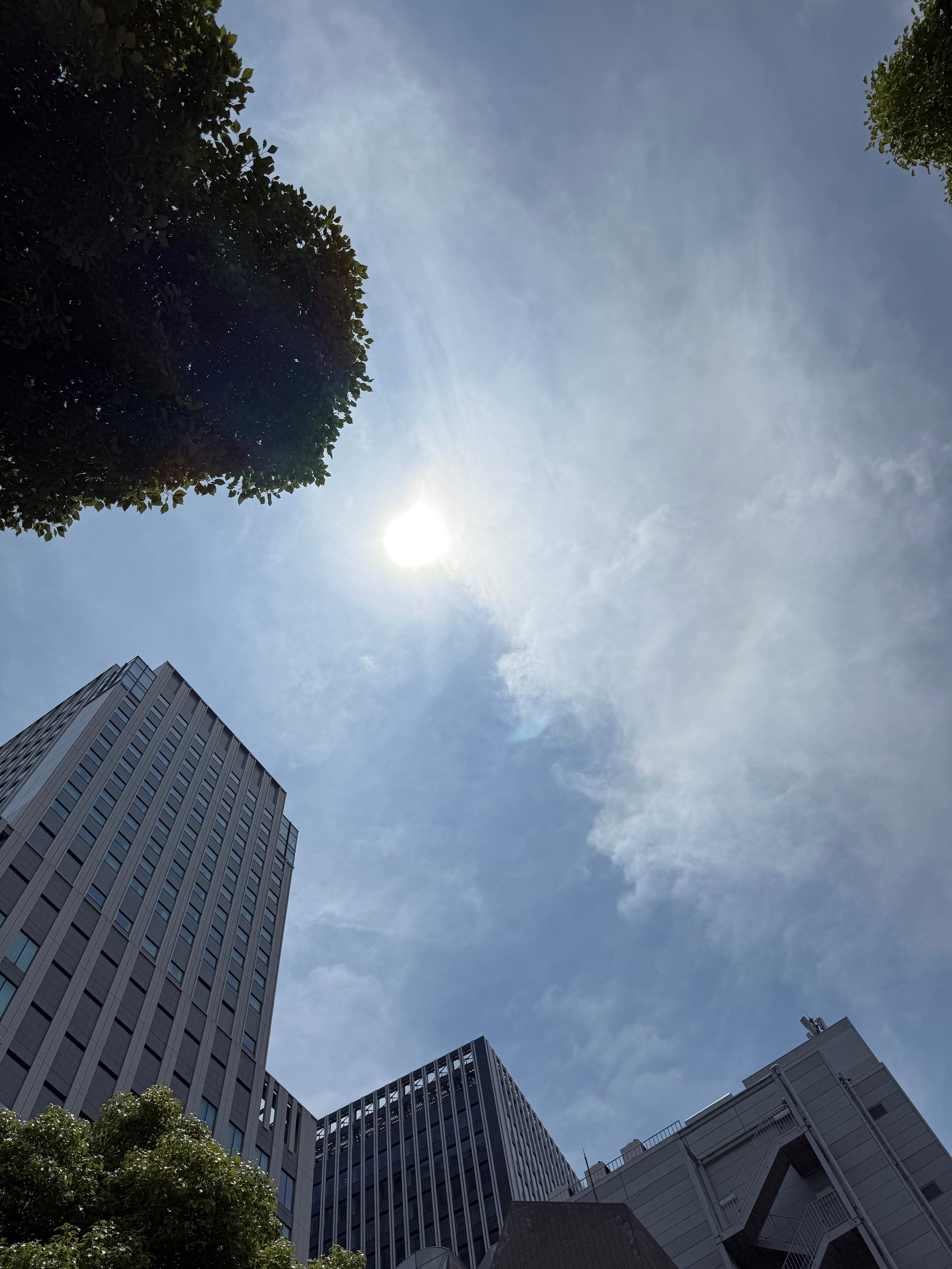 夏至の参拝で“自分軸”を整える時間を