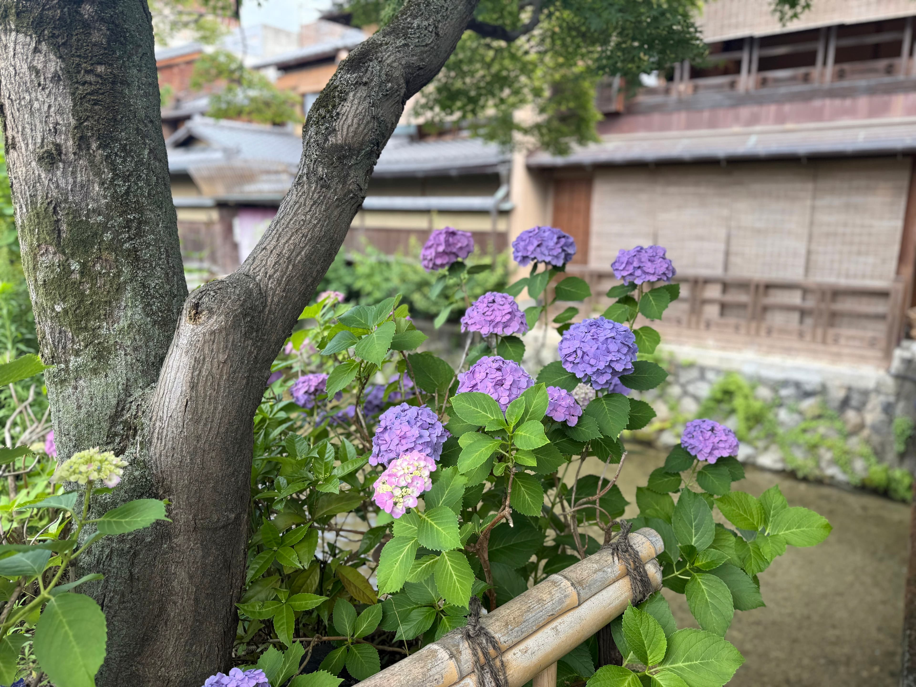 癒しの時間💕🍵